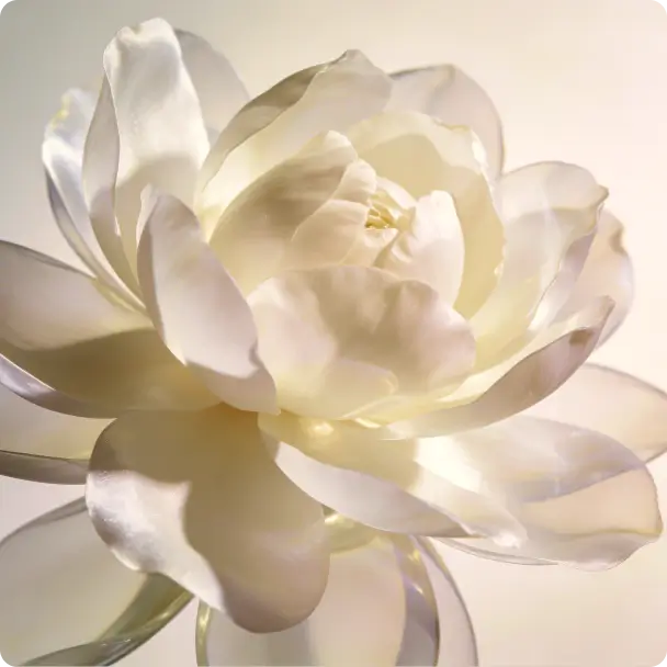 White Musk